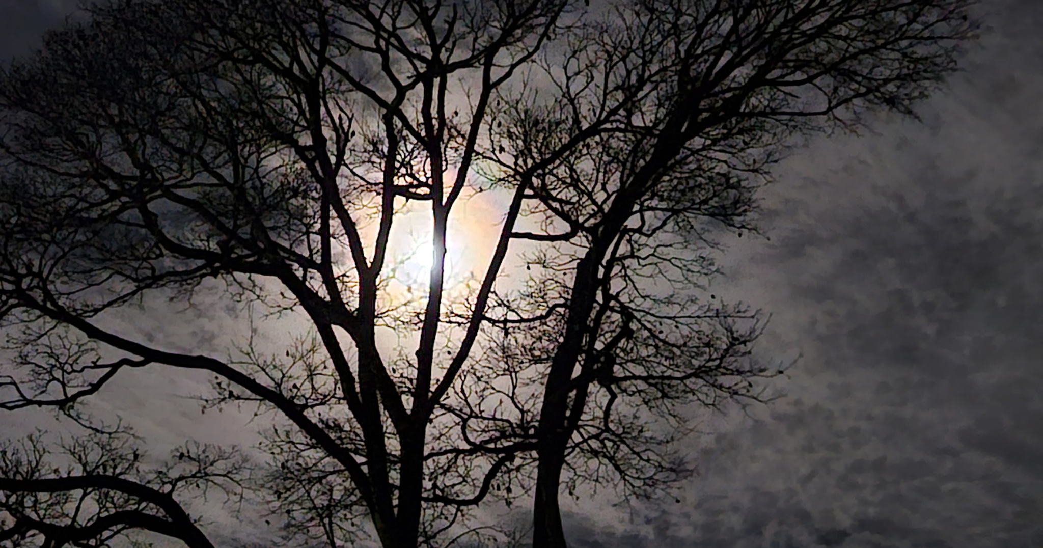 Full Cold Moon, December 4, 2025